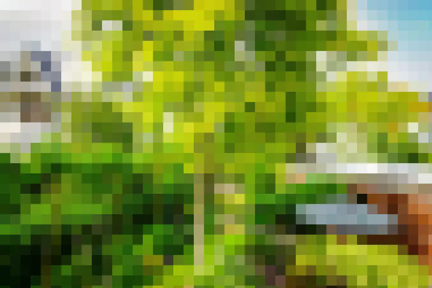 Hogeweg 4 Den Haag thumbnail 22