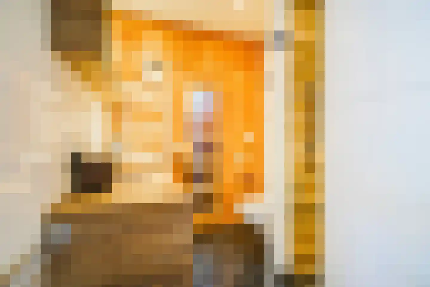 Hogeweg 4 Den Haag thumbnail 29