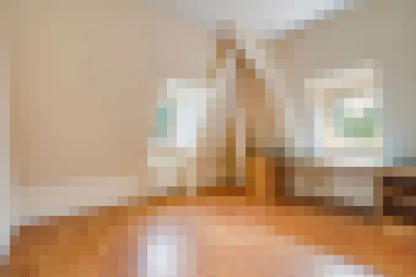 Hogeweg 4 Den Haag thumbnail 35