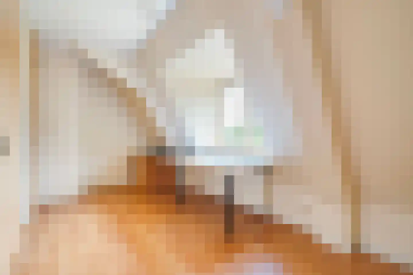 Hogeweg 4 Den Haag thumbnail 37