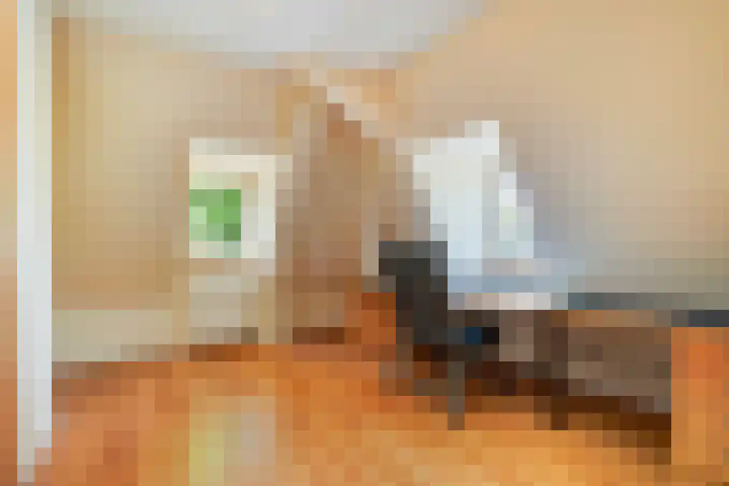 Hogeweg 4 Den Haag thumbnail 42
