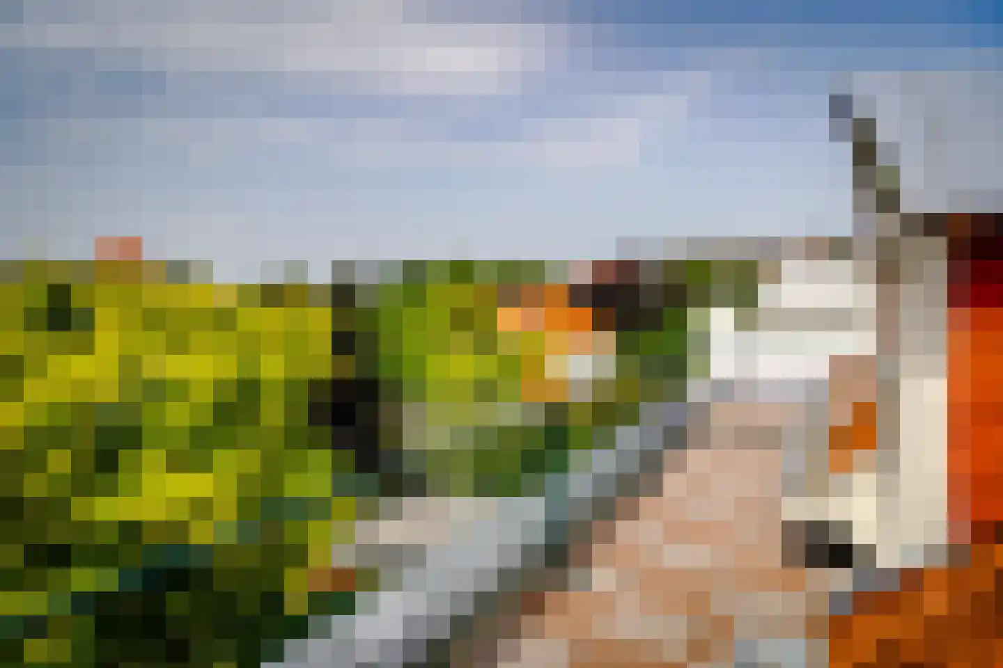 Hogeweg 4 Den Haag thumbnail 44