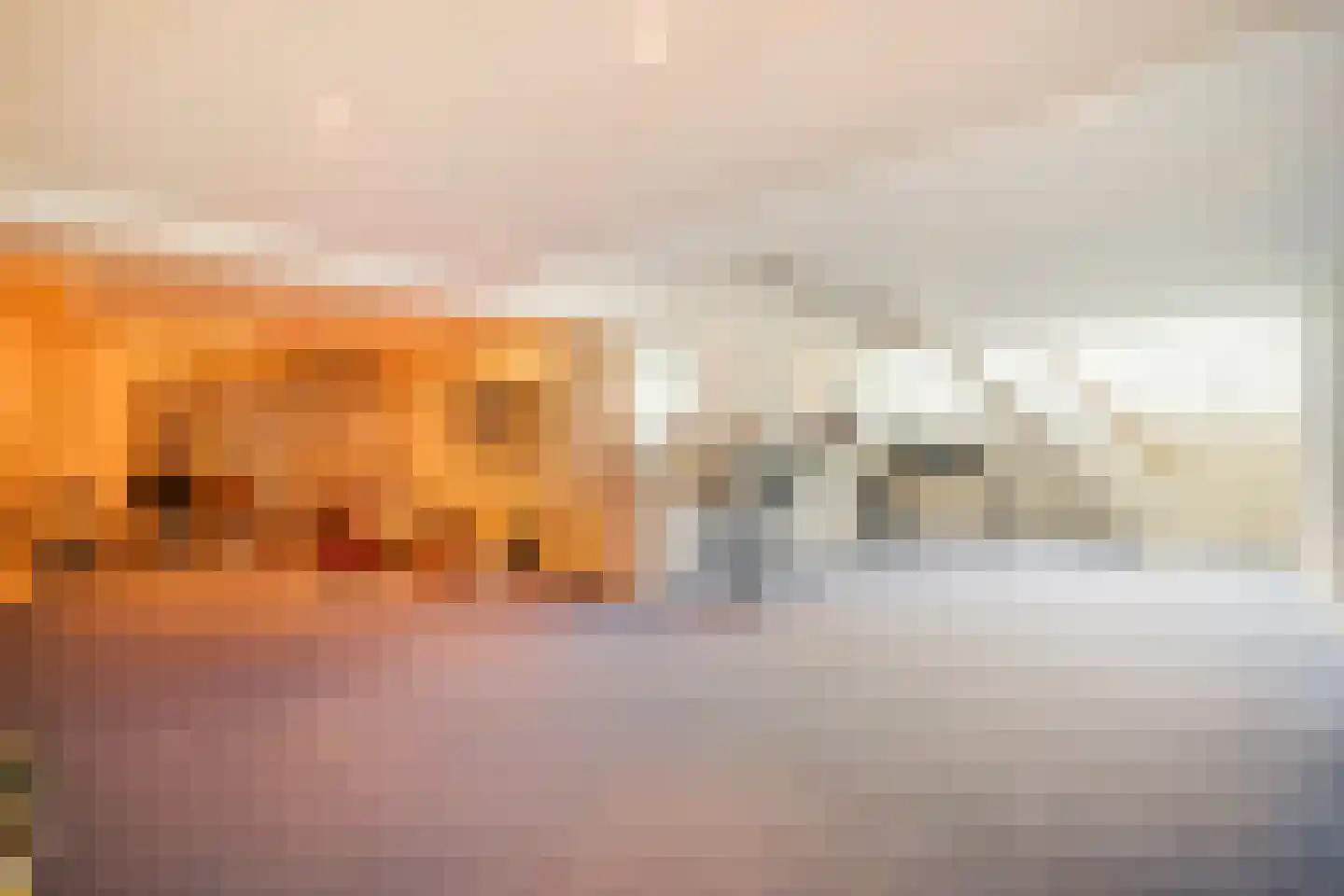 Hogeweg 4 Den Haag thumbnail 46