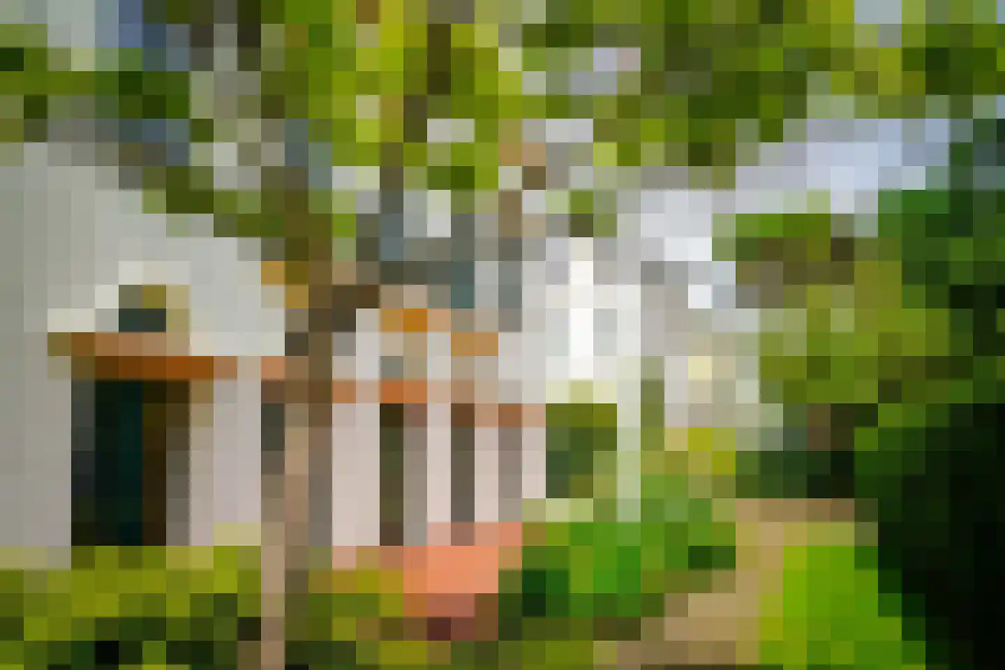 Hogeweg 4 Den Haag thumbnail 51