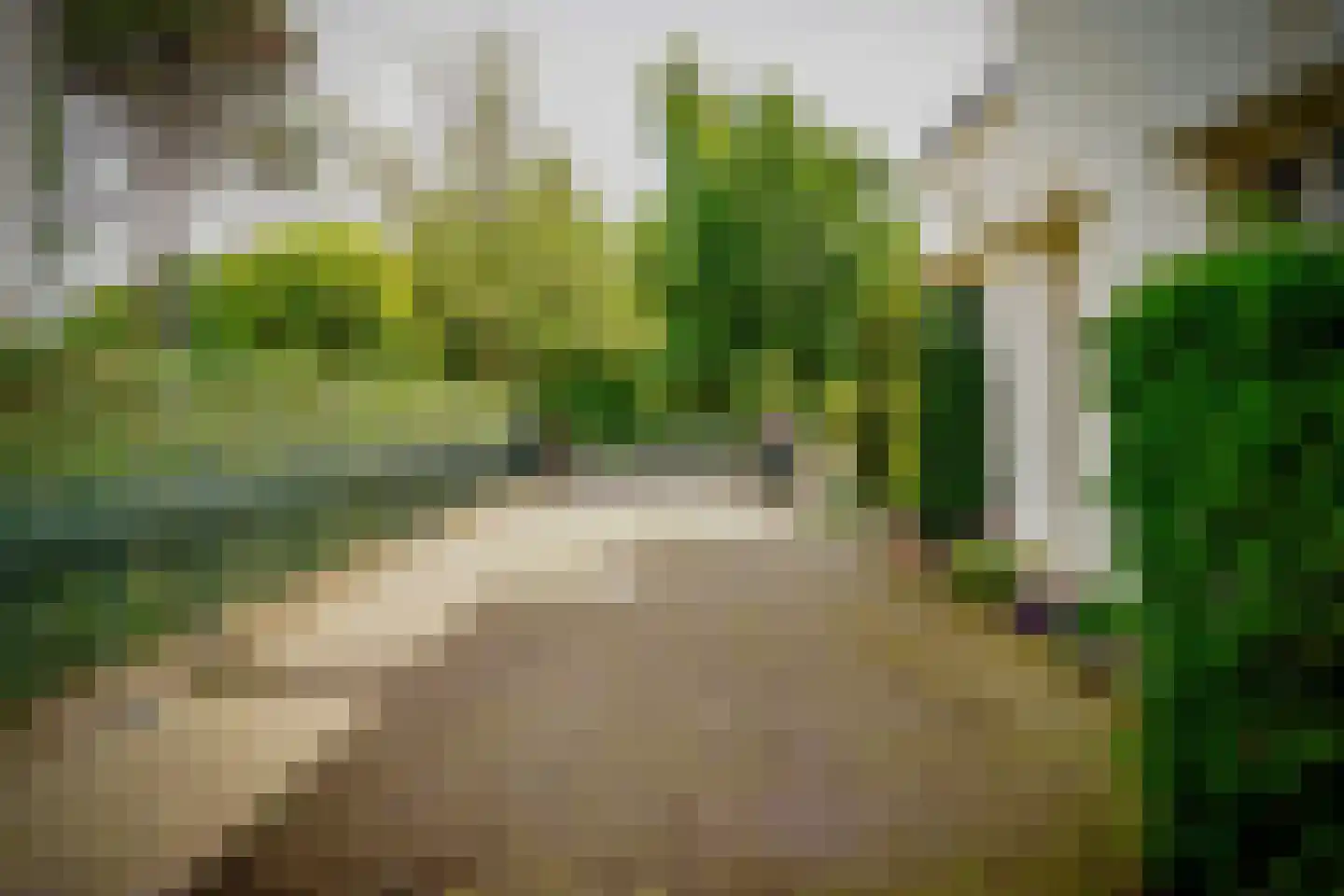Hogeweg 4 Den Haag thumbnail 52