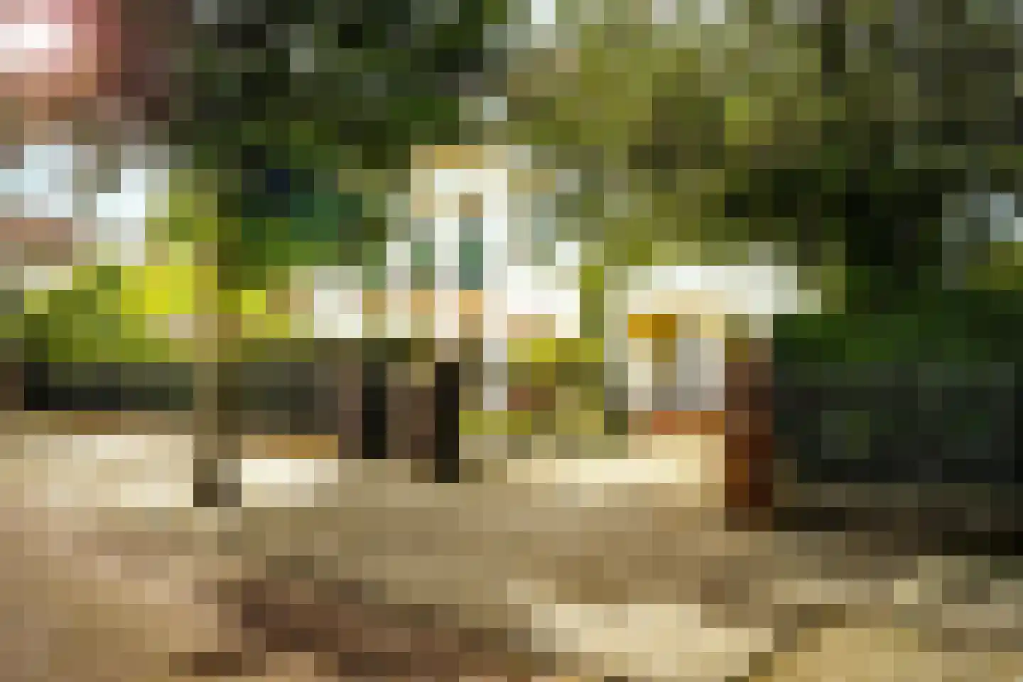 Hogeweg 4 Den Haag thumbnail 54