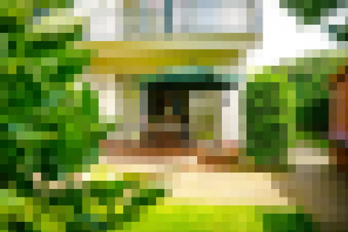Hogeweg 4 Den Haag thumbnail 9