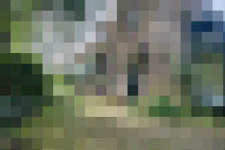 Hogeweg 4 Wassenaar thumbnail 12