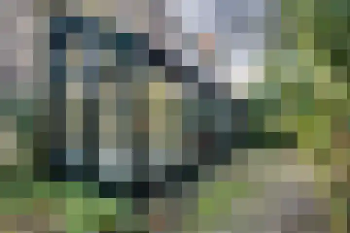 Hogeweg 4 Wassenaar thumbnail 27
