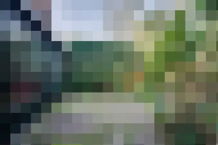 Hogeweg 4 Wassenaar thumbnail 28
