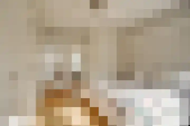Hogeweg 4 Wassenaar thumbnail 45
