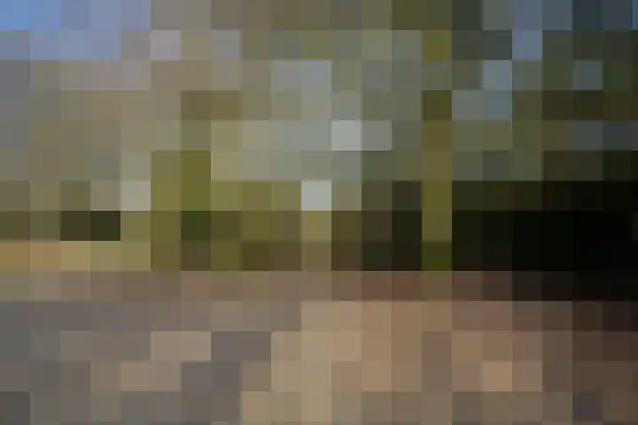 Hogeweg 4 Wassenaar thumbnail 66
