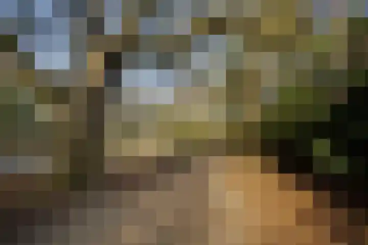 Hogeweg 4 Wassenaar thumbnail 67