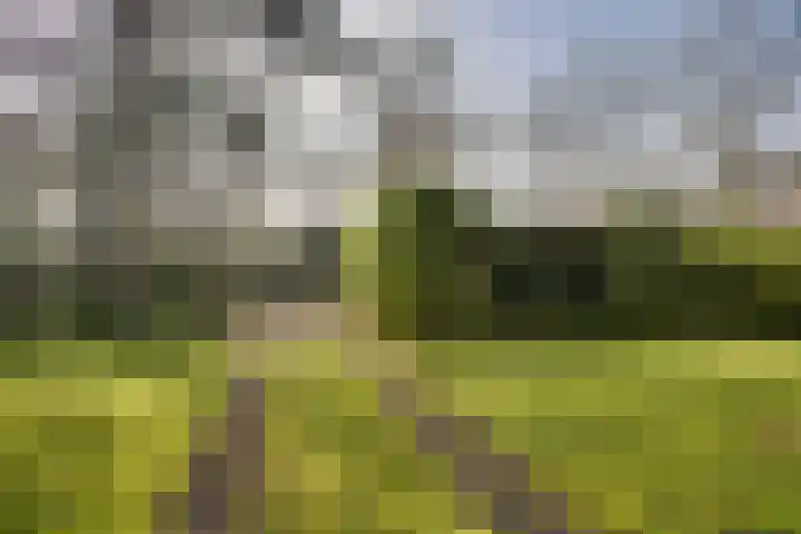 Hogeweg 4 Wassenaar thumbnail 9