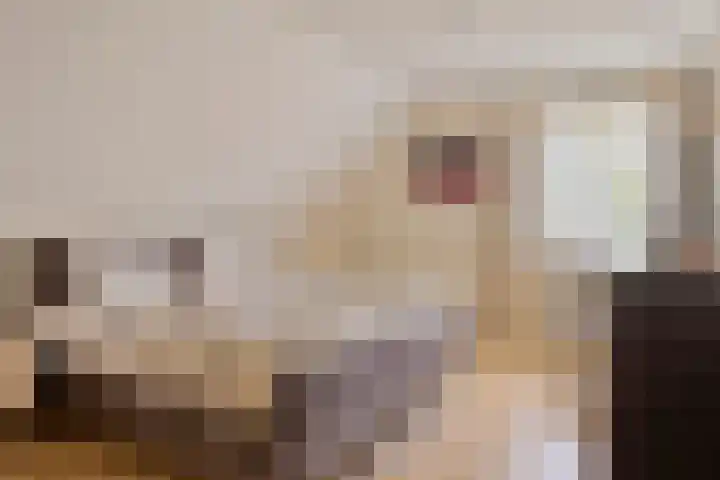 Hogeweg 5 Drunen thumbnail 12