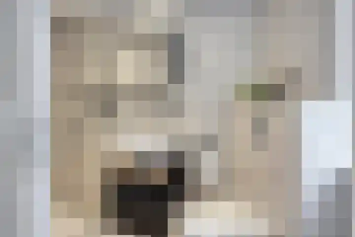 Hogeweg 5 Drunen thumbnail 18
