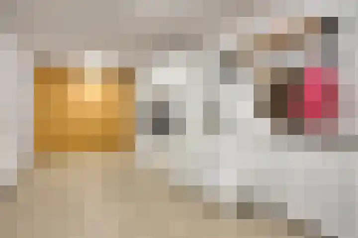 Hogeweg 5 Drunen thumbnail 21
