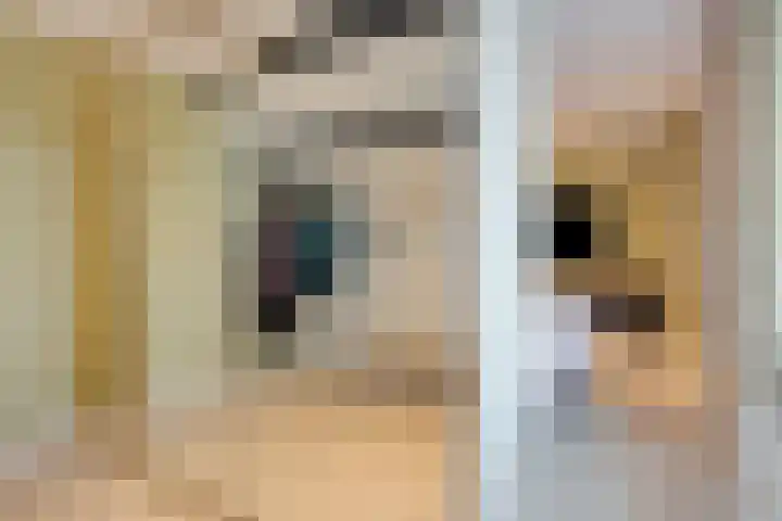 Hogeweg 5 Drunen thumbnail 27