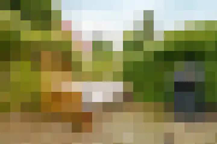 Hogeweg 5 Drunen thumbnail 35