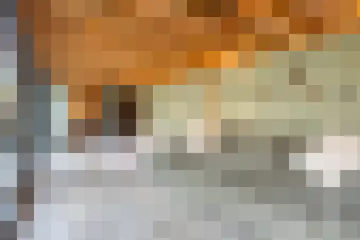 Hogeweg 5 Drunen thumbnail 42