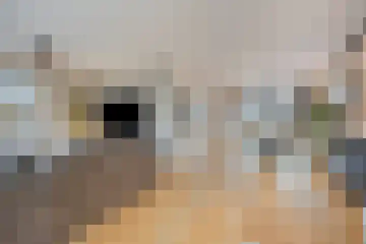 Hogeweg 5 Drunen thumbnail 9