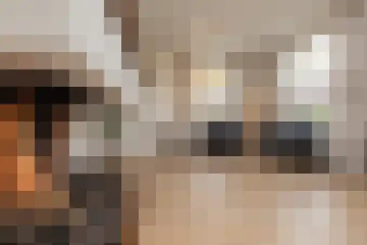 Hogeweg 5 Noordwijk thumbnail 16