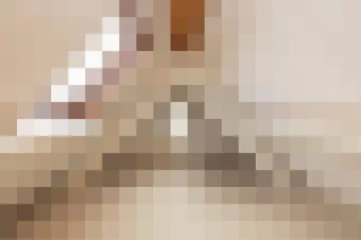 Hogeweg 5 Noordwijk thumbnail 33