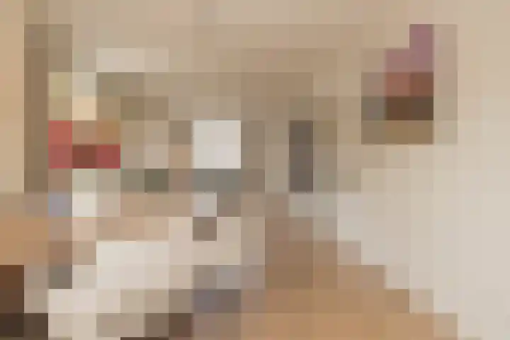 Hogeweg 5 Noordwijk thumbnail 6