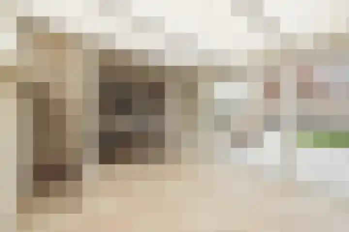 Hogeweg 5 Noordwijk thumbnail 8