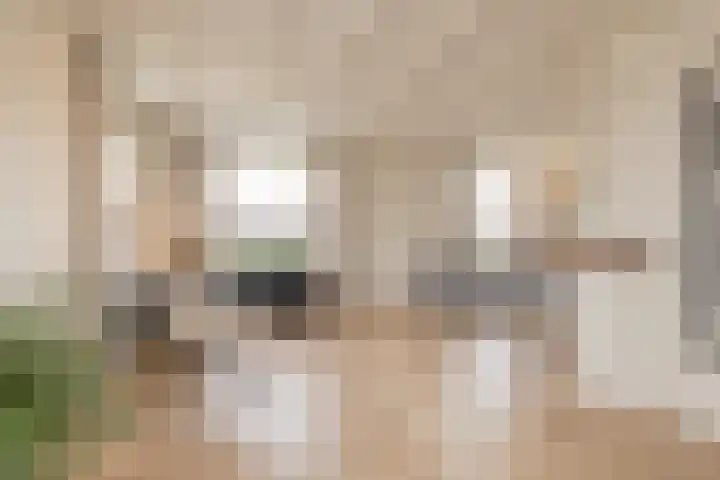 Hogeweg 5 Noordwijk thumbnail 9