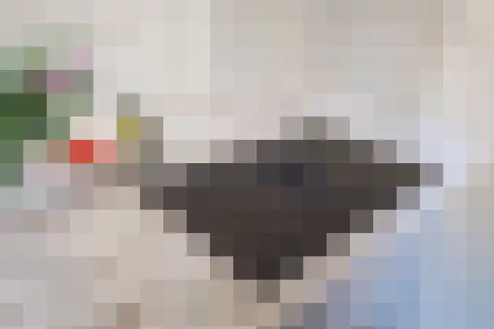 Hogeweg 57 A Ulft thumbnail 15