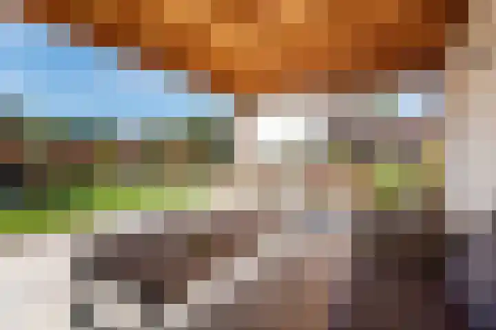 Hogeweg 57 A Ulft thumbnail 40