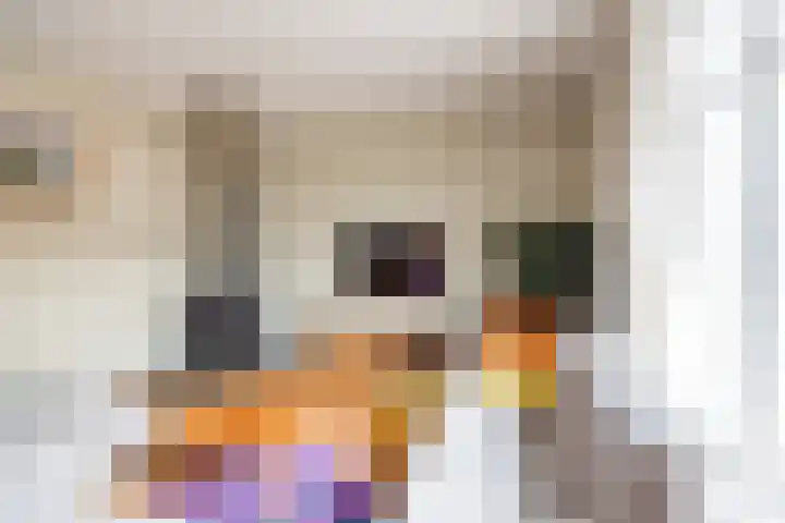 Hogeweg 57 Ulft thumbnail 16