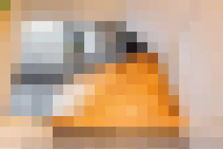 Hogeweg 57 Ulft thumbnail 19