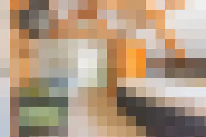 Hogeweg 57 Ulft thumbnail 28