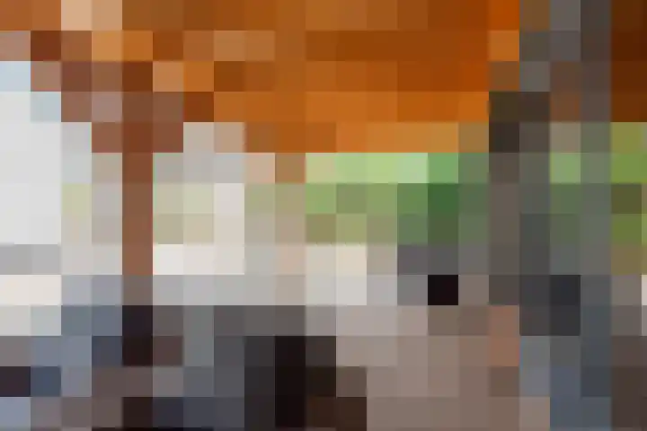 Hogeweg 57 Ulft thumbnail 36