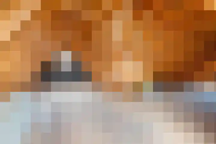 Hogeweg 57 Ulft thumbnail 47