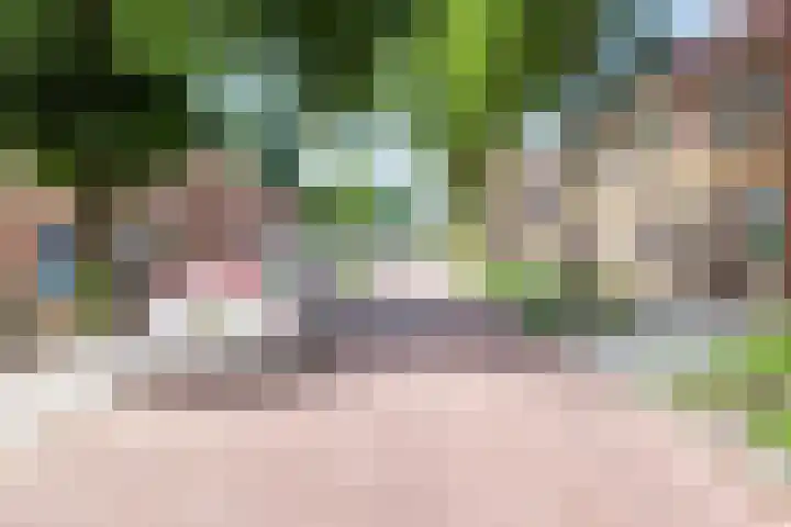 Hogeweg 57 Ulft thumbnail 50