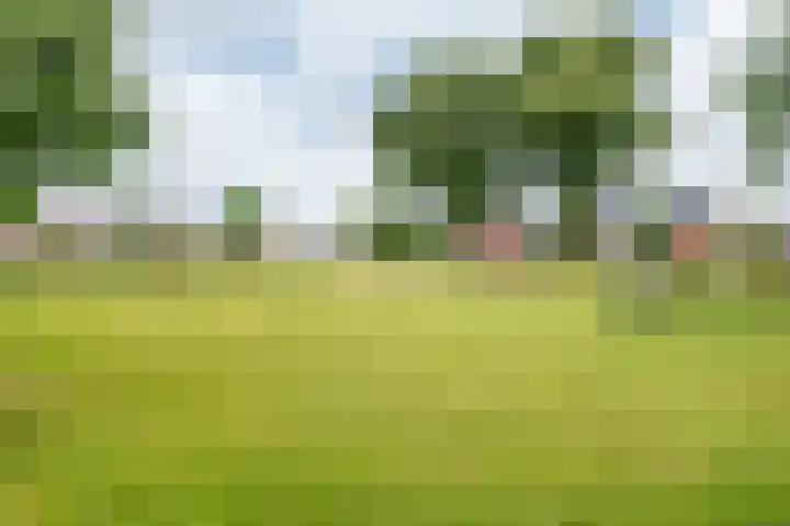 Hogeweg 57 Ulft thumbnail 51