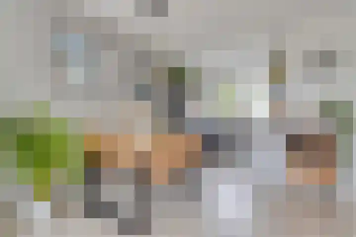 Hogeweg 58 Gronsveld thumbnail 12