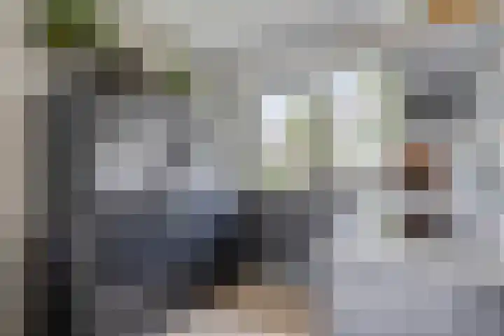 Hogeweg 58 Gronsveld thumbnail 14