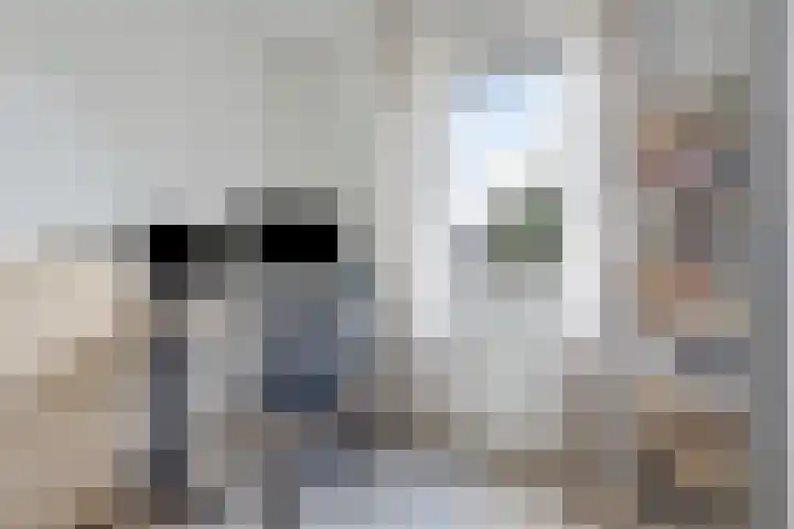 Hogeweg 58 Gronsveld thumbnail 25