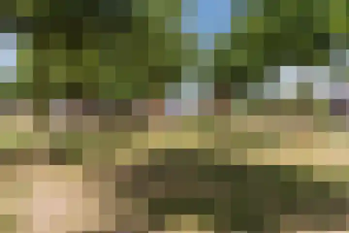 Hogeweg 58 Gronsveld thumbnail 32