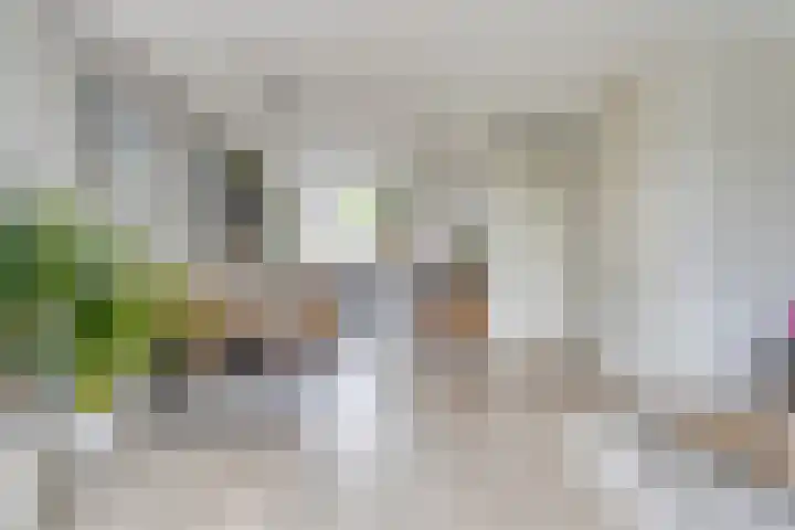 Hogeweg 58 Gronsveld thumbnail 9