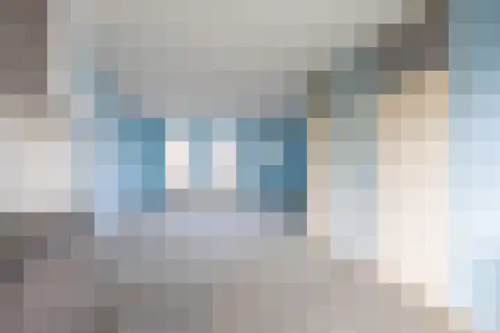 Hogeweg 6 Den Horn thumbnail 15