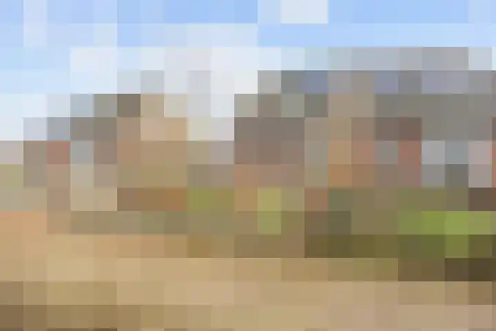 Hogeweg 6 Den Horn thumbnail 4