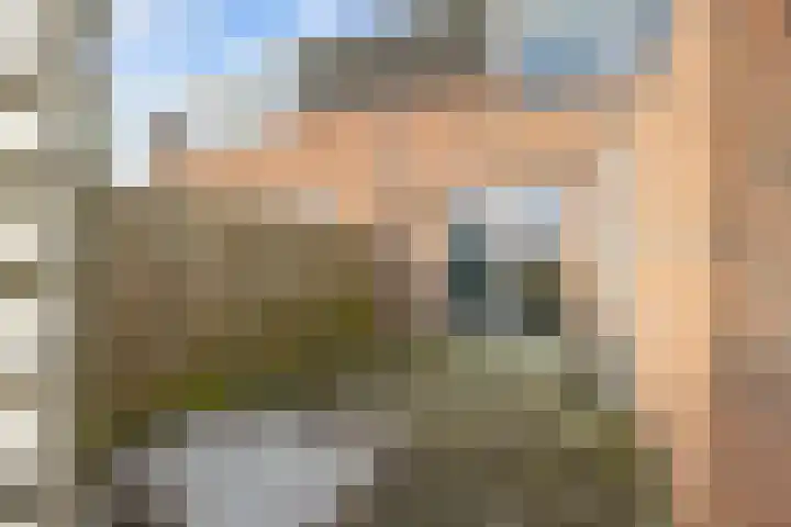Hogeweg 6 Den Horn thumbnail 43