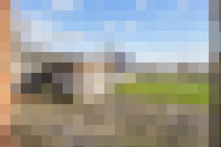 Hogeweg 6 Den Horn thumbnail 45