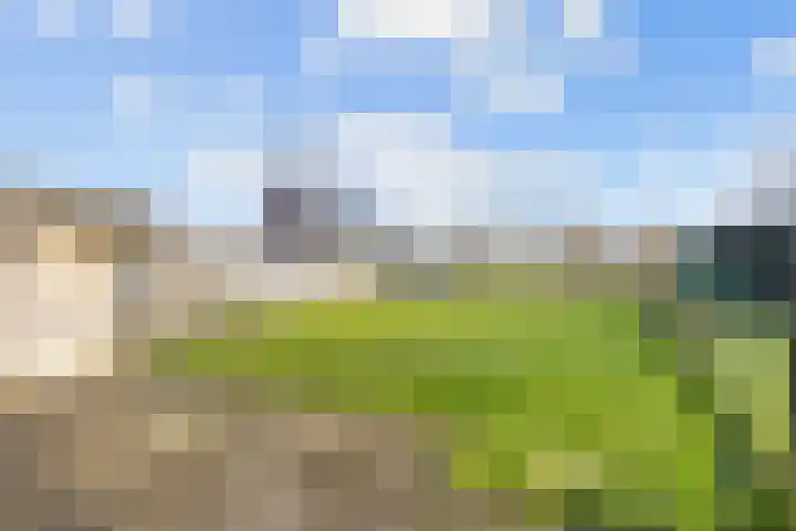 Hogeweg 6 Den Horn thumbnail 46