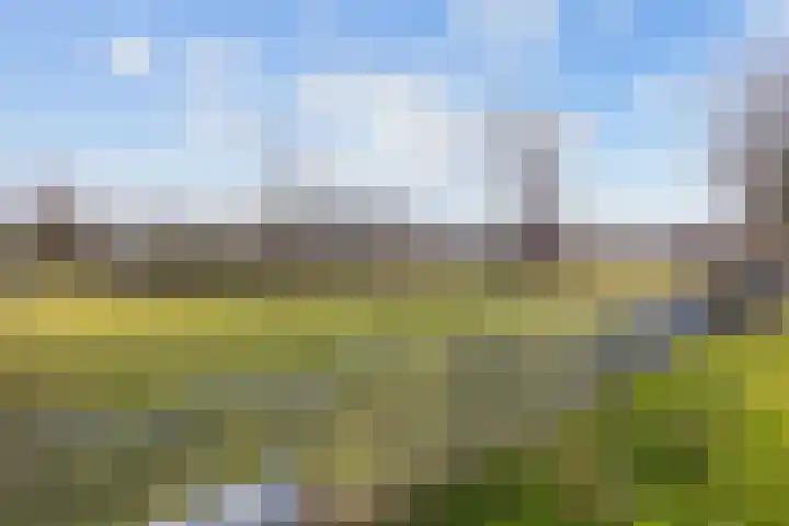 Hogeweg 6 Den Horn thumbnail 48